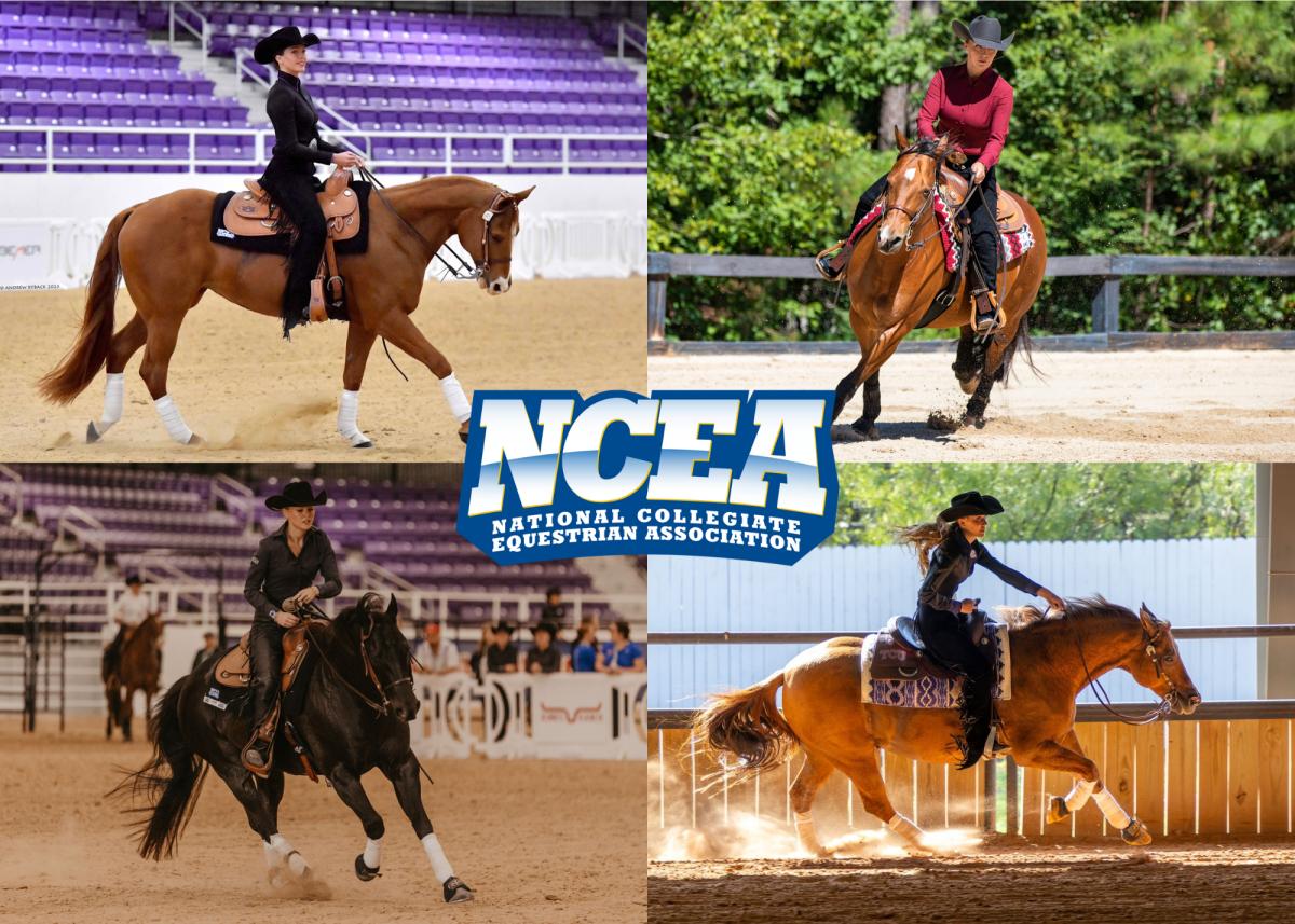 Top row from left, TCU's Payton Bouchelle, South Carolina's Chloe VanStone, SMU's Dani Latimer and TCU's Giorgia Medows each took part in industry events while also working with their respective college programs this fall.