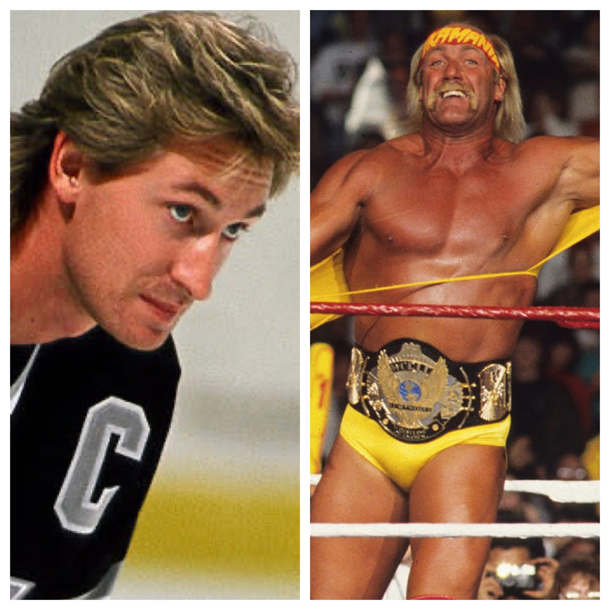 Wayne Gretzky and Hulk Hogan, two of the best ever at their craft