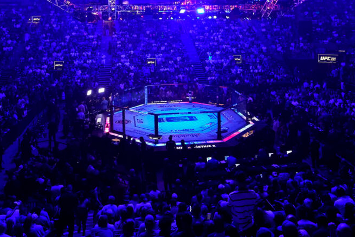 A shot of the world-famous UFC Octagon.