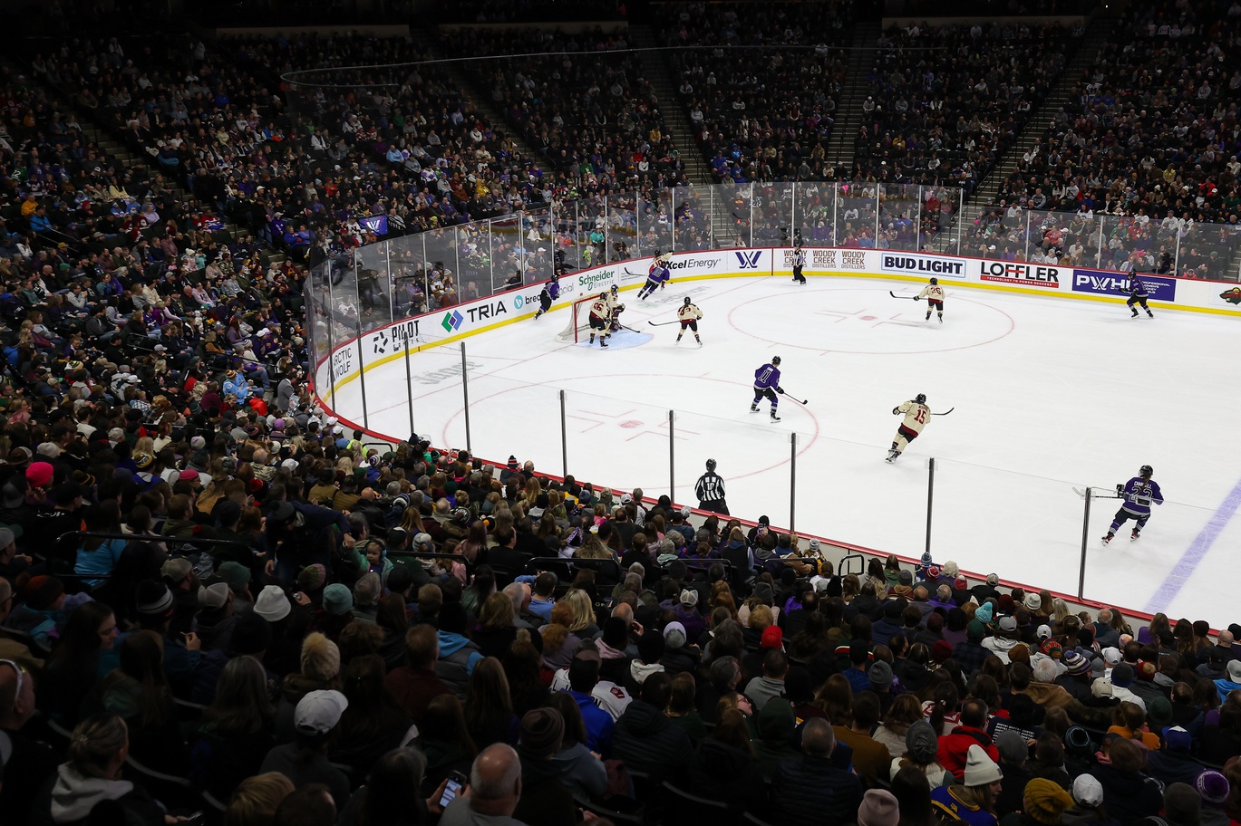 PWHL Minnesota