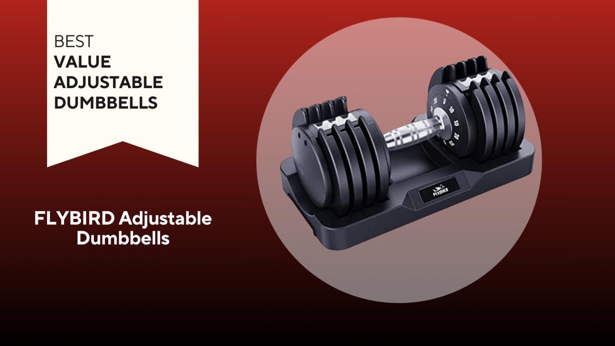 The Best Adjustable Dumbbells of 2024 - Sports Illustrated
