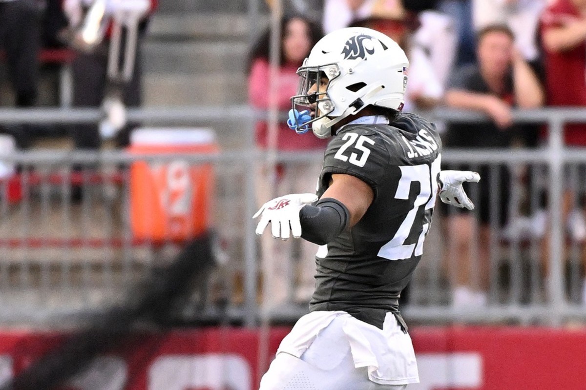Washington State safety Jaden Hicks could be an underrated player in the later rounds of the 2024 NFL Draft.
