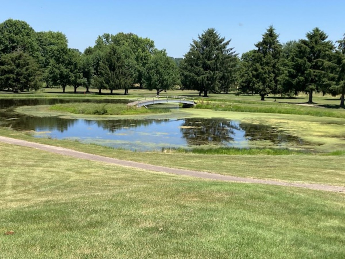 The pond where the mastodon was found.