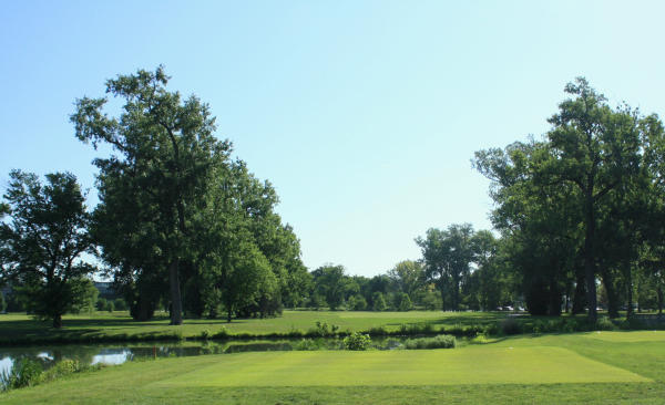 Golf Course Review: Forest Park Golf Course (Dogwood) 8 5 Score