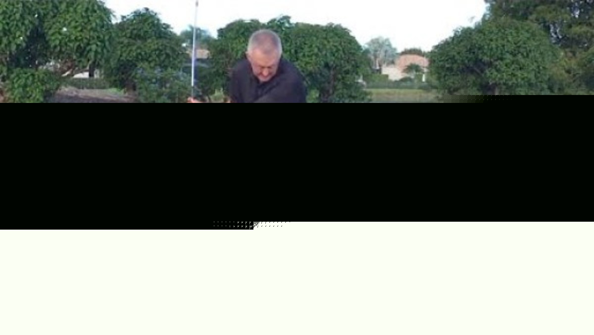 Bunker shots made easy Sports Illustrated