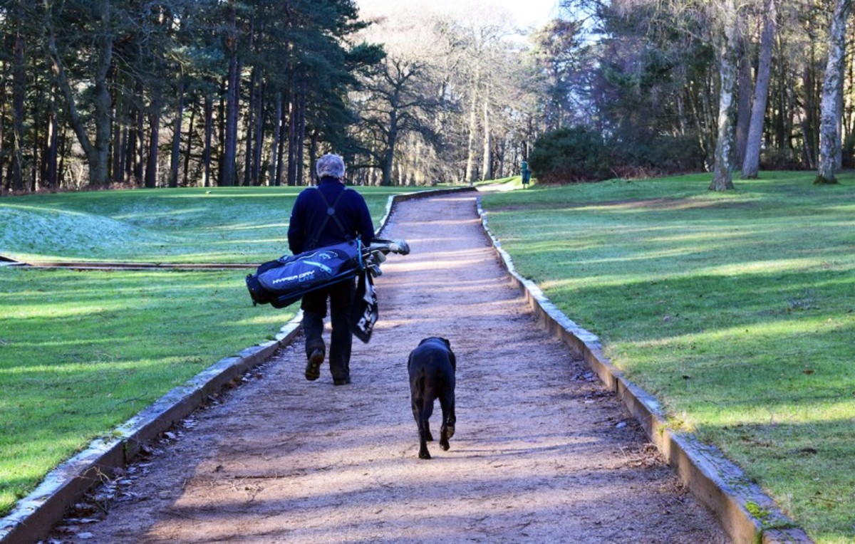 Alistair Tait and his dog, Izzy, an 11½-year-old black Labrador retriever, enjoy a late-day round at Woburn Golf Club in England. 