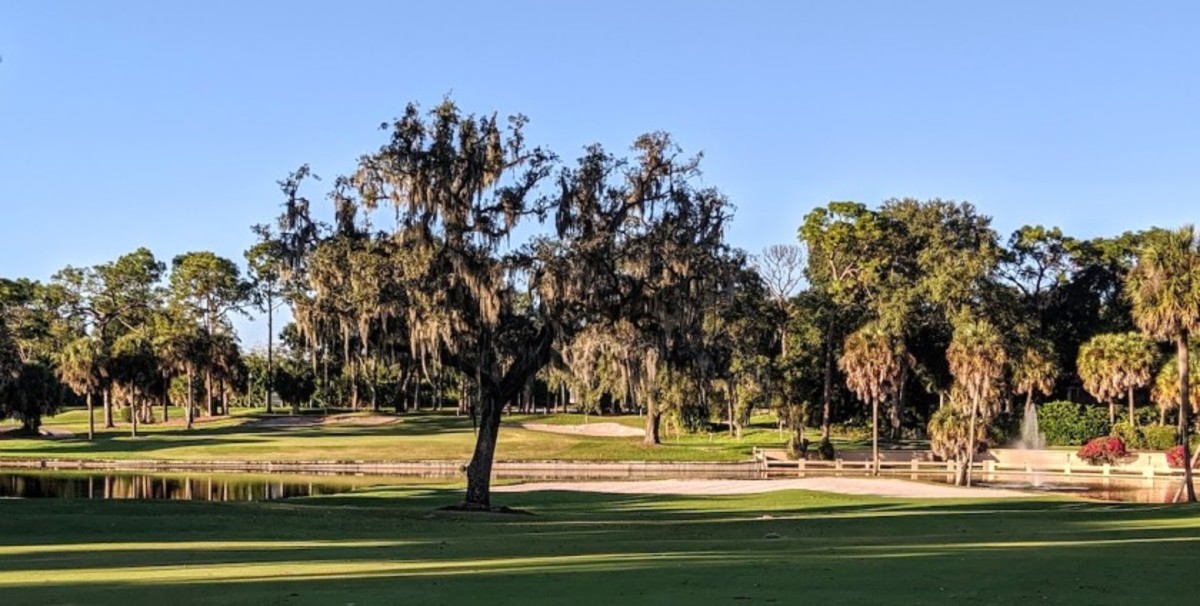 El Campeon's 17th, known as Devil's Delight, is a difficult double dogleg par-5 hole that has an expansive oak tree fronting its green.