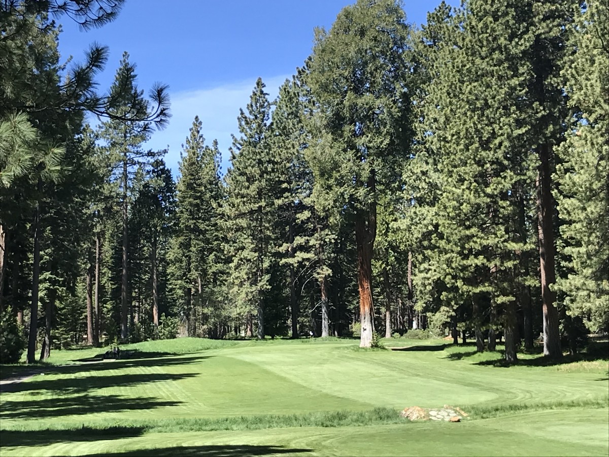 Towering pines surround Old Brockway's fifth hole.
