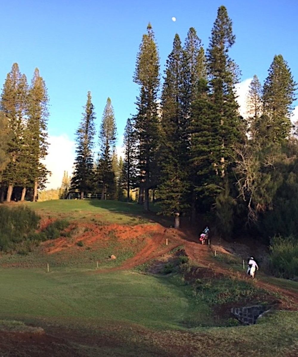 Cavendish, a nine-hole loop, was Lanai's first golf course and was designed by Edwin B. Cavendish in 1947 as a recreational amenity for pineapple plantation workers.