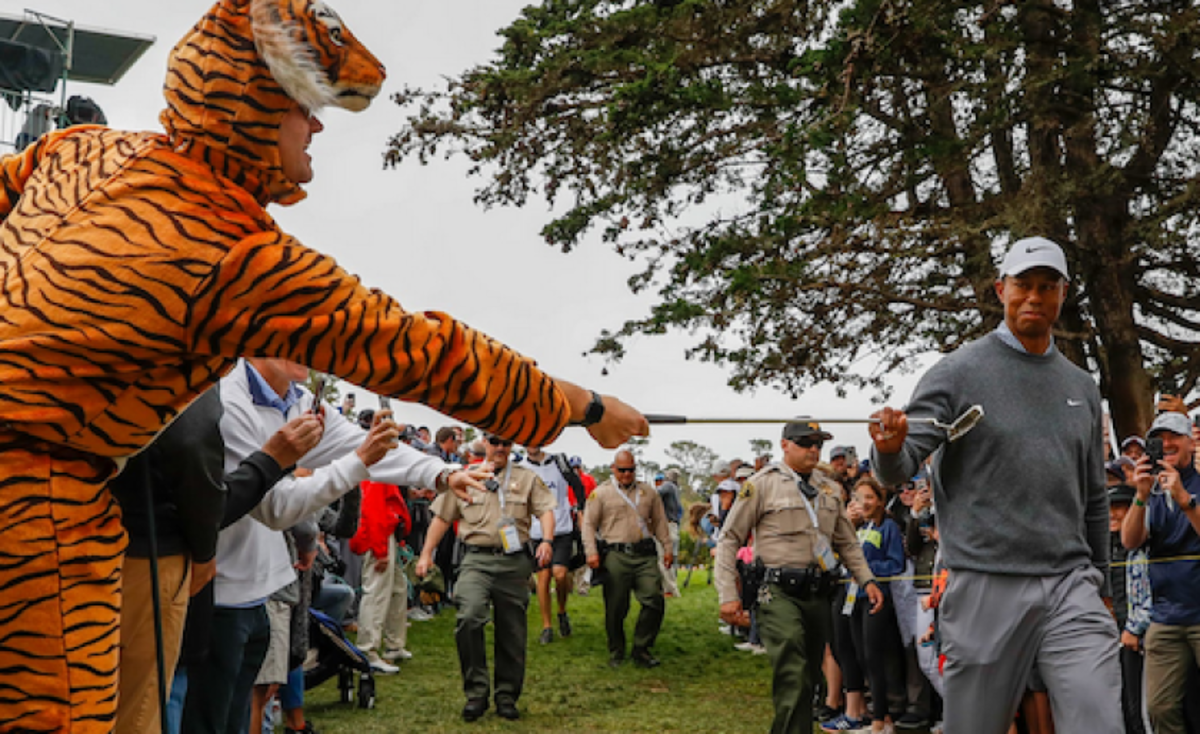 Tiger Woods attracts fans of all stripes to the 2019 U.S. Open at Pebble Beach, and his presence in Japan this week will boost the Zozo Championship and the fall's Asia Swing.