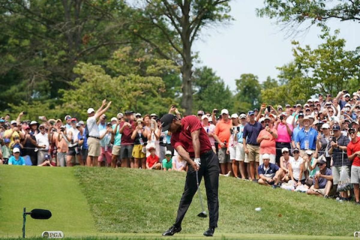 St. Louis turned out en masse to see Tiger Woods during the final round of the PGA Championship on Sunday at Bellerive Country Club, foretelling a similar trend among TV viewers.