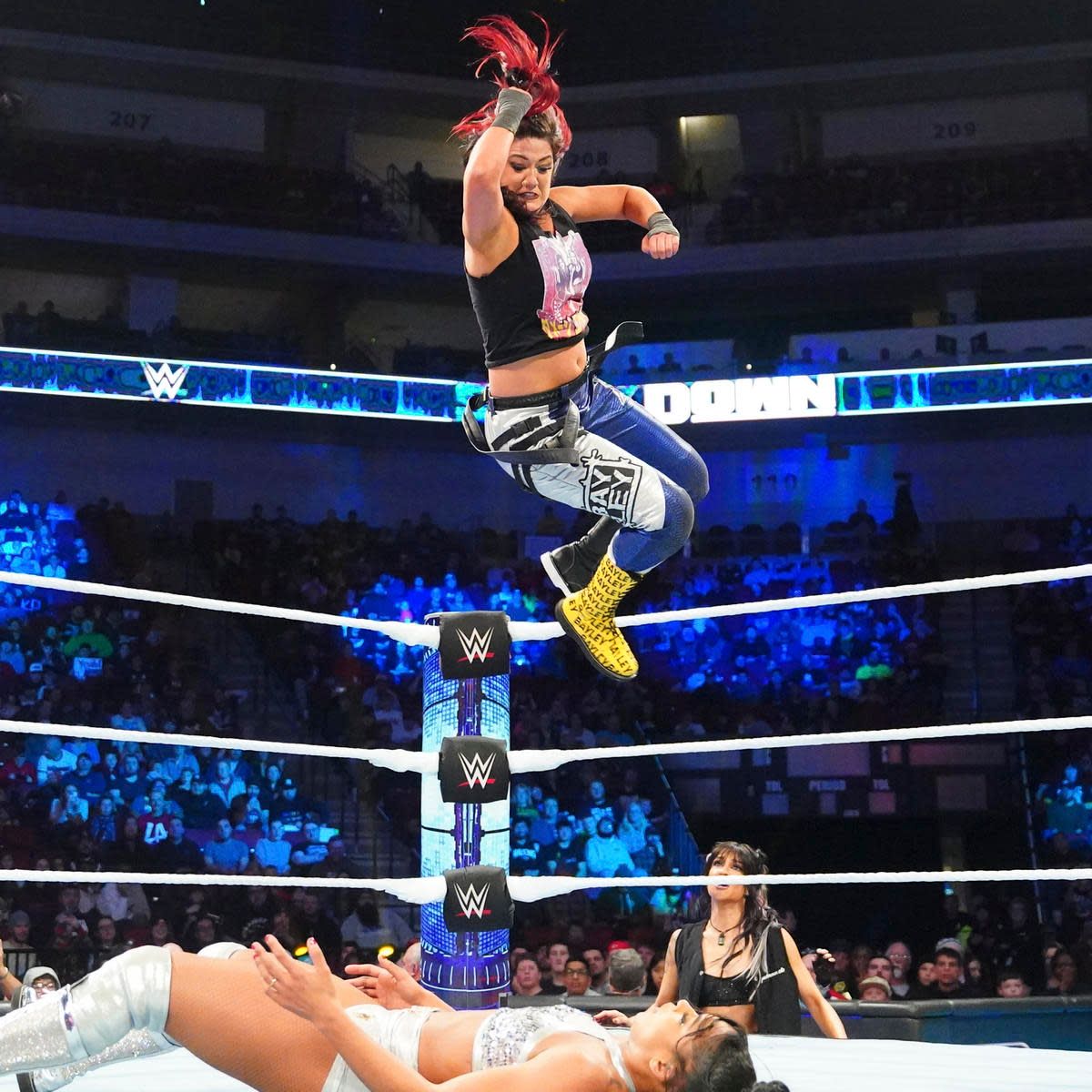 Courtesy WWE