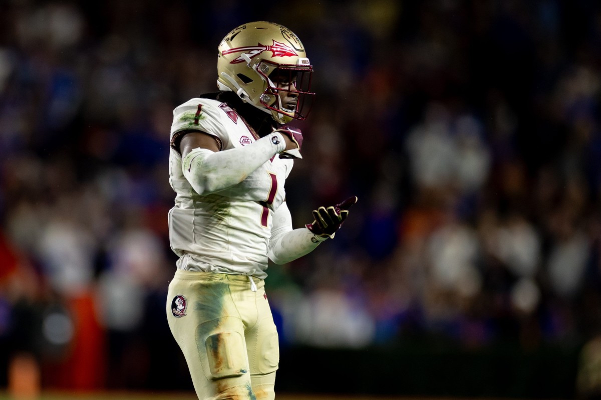 The Las Vegas Raiders could be intrigued by Florida State safety Akeem Dent in the 2024 NFL Draft.
