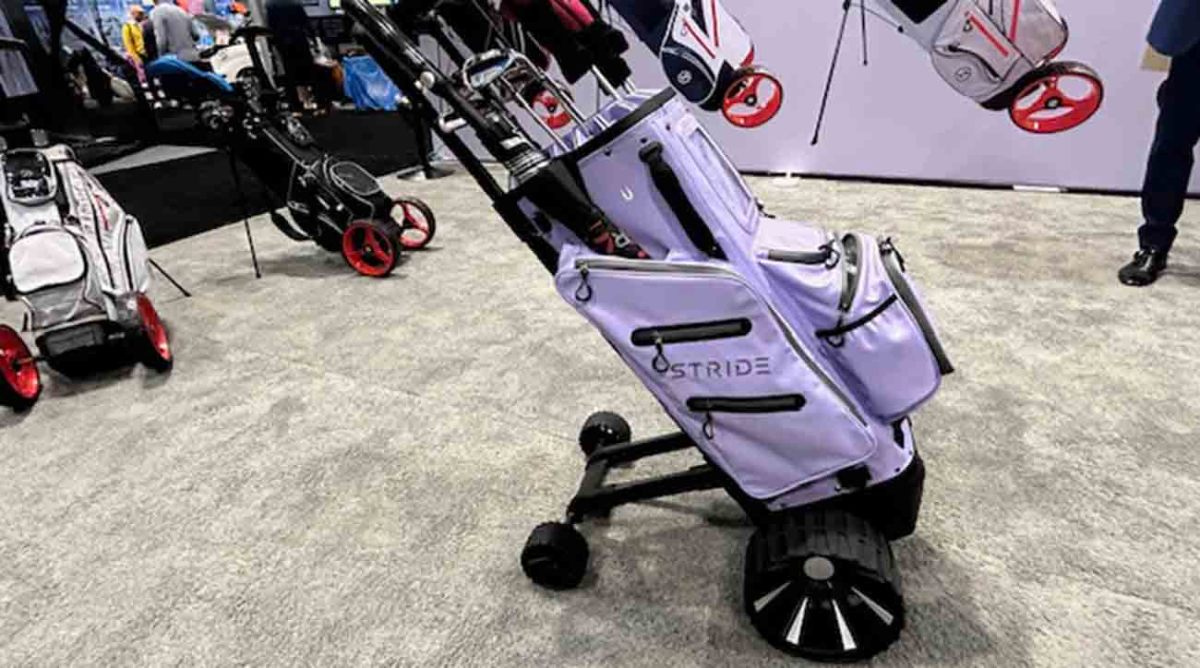 Stride motorized push cart