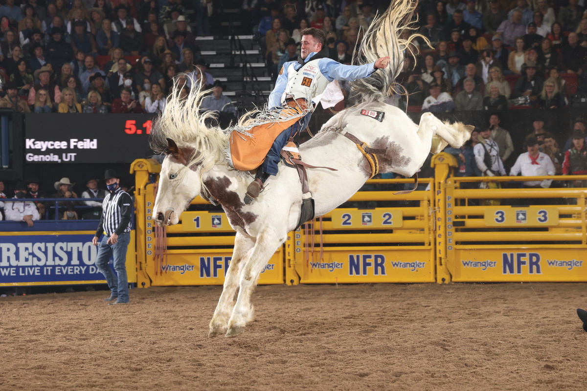 Kaycee Feild won more bareback world titles than any other PRCA competitor. In retirement, he's focused on growing a CBD brand, overseeing a shipping logistics company, and establishing a western hat brand with his brother, Shad. 