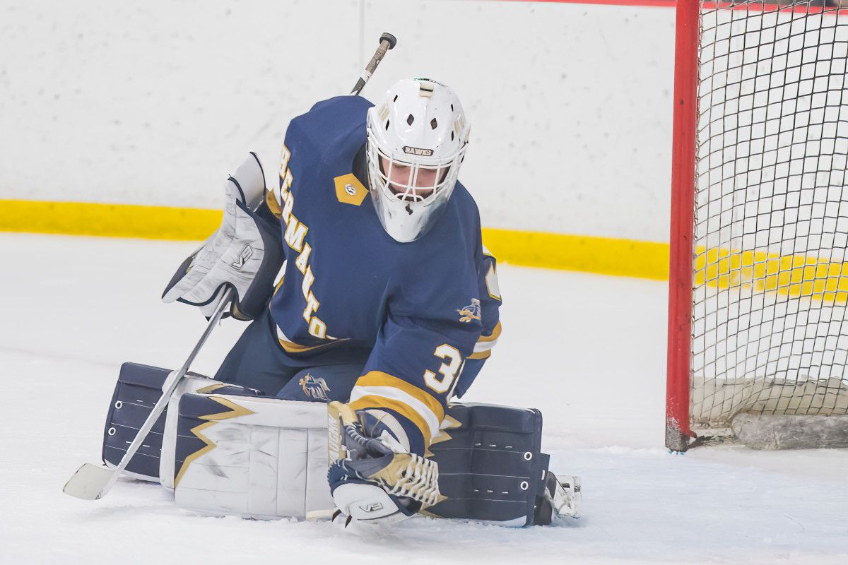 St. Cloud Cathedral boys hockey defeats Hermantown in MSHSL Class 1A